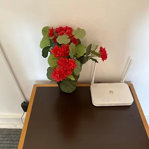  Гостевой дом Rose View